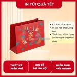 Tại sao nên lựa chọn dịch vụ in túi quà tết của in hoa long