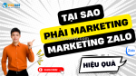 Tầm quan trọng của marketing trong kinh doanh hiện đại – và lý do zalo là kênh không thể bỏ qua
