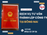 Tư vấn thành lập doanh nghiệp trọn gói