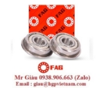 Vòng bi fag việt nam