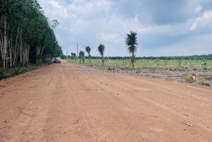 💥 250 triệu – 1000m² đất ngay đường xuyên tâm đồng phú 💥