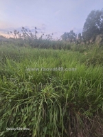 ► bán đất ở nông thôn – thạnh đức, bến lức