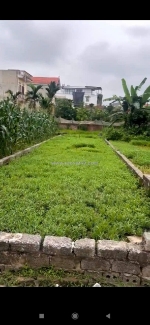 🌟 bán nhanh 400m2 đất - ngũ hiệp - thanh trì - ô tô tránh - giá chỉ 24 tỷ