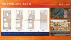 🌟 the swan lake – điểm rơi vàng của dòng tiền