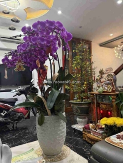 . tiêu đề mạnh mẽ hơn: ✨ siêu hot – nhà trung tâm giá rẻ – chỉ 10m ra điện biên