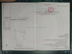 262m2 thổ cư toàn bộ, long thọ, đất nở hậu, khu dân cư đông, (nlt-19)
