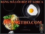 40 mã lỗi bếp từ lorca loại 2, 3, 4 mâm điện từ