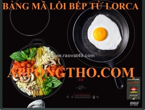 40 mã lỗi bếp từ lorca loại 2, 3, 4 mâm điện từ
