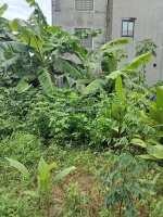 48m2 đất đấu giá ao ngòi xã hoài đức