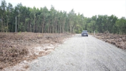 Bán 1033m2 đất odt tân phước - tx lagi giá ngộp 950 triệu sổ riêng