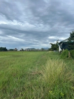 Bán 1.5 sào đất hẻm nguyễn thông - tân bình - lagi giá rẻ 1.6 tỷ