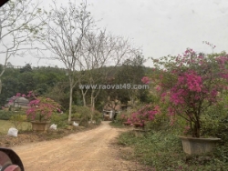 Bán 59m2 đất nghỉ dưỡng view đẹp thanh thủy, phú thọ. giá 1tr/m2