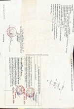 Bấn 60m siêu phẩm đất đẹp – gò bố về, đường lâm, sơn tây