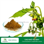 Bán cao khô kim anh tử hàng chất lượng cao giá tốt