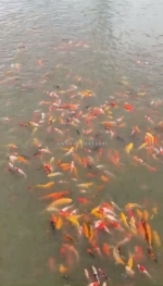 Bán đất bắc sơn trảng bom kinh doanh ăn uống hồ câu cá gần giáo xứ bùi đệ