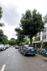 Bán liền kề vinhomes gardenia hàm nghi - 156m² x 5t thang máy - mt 8m - giá 74