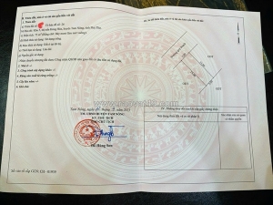 Bán lô đất f0- đất đẹp giá tốt tại tt hưng hóa, tam nông, phú thọ