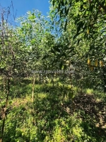 Bán lô đất full thổ cư – hàng hiếm khánh đông, khánh vĩnh