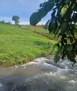 Bán lô đất tại lộc tân - đất thích hợp nghĩ dưỡng , không đầu tư