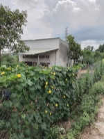 Bán nhà cấp 4 ( rẻ nhất khu vực ) , khu công nghiệp sông mây , xã bắc sơn ,