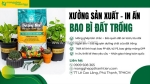 Bao bì đất trồng chất lượng, giá sỉ tại tphcm