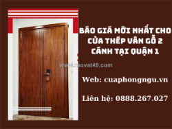 Báo giá mới nhất cho cửa thép vân gỗ 2 cánh tại quận 1