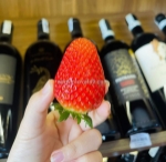 Bật mí cách chọn dâu tây mỹ nhập khẩu mọng nước ngon ngọt