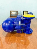 Bẫy hơi dạng cốc phao gang thép giá tốt uy tín tại van tân thành