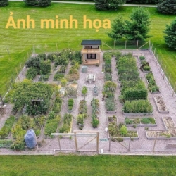 Bỏ phố – về gần khu công nghệ cao sở hữu ngay đất vườn cực hiếm