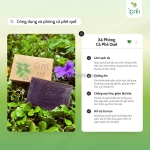 Bông tắm xơ mướp thiên nhiên – làm sạch da an toàn, không hóa chất