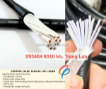 ​​​​​​​cáp điều khiển sangjin 10c 0.75mm² – có sẵn tp.hcm