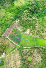 Chỉ  triệu có ngay lô đất vườn chanh dây + đậu phộng rộng 1000m2 ( 25m x 43m