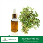 Chiết xuất rau sam cho sản xuất mỹ phẩm
