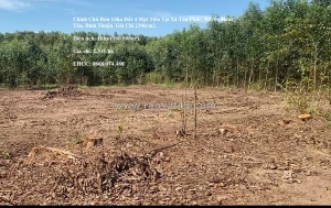 Chính chủ bán 16ha đất 4 mặt tiền tại xã tân phúc, huyện hàm tân, bình thuận.