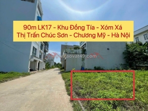 Chính chủ bán lô đất 90m dịch vụ đồng tía-tt chúc sơn-chương mỹ-hà nội