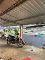 Chính chủ cần bán gấp 8 ao nuôi tôm tại xã vĩnh trạch đông - tp.bạc liêu - tỉnh