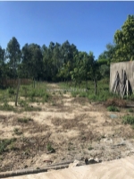 Chính chủ cần bán gấp lô đất có vị trí đẹp tại xã hòa phước - p. hòa xuân - tp.