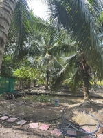 Chính chủ cần bán lô đất tại phường long đức - tp. trà vinh - tỉnh trà vinh.