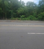 Chính chủ cần bán mảnh đất gần 5000m2 nghỉ dưỡng view núi, khí hậu mát mẻ sát