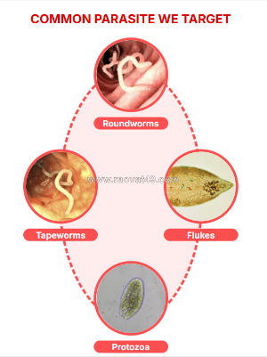 Clarexin intestinal parasite cleanse uk shocking benefits buy now