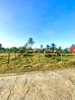 Cơ hội vàng! đất đẹp full thổ, đón đầu làn sóng đầu tư khu kinh tế vân phong,