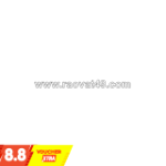 Combo gà trộn nomnom