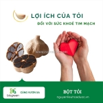 Cung cấp bột tỏi đen hàng chất lượng cao giá tốt