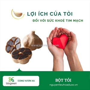 Cung cấp bột tỏi đen hàng chất lượng cao giá tốt