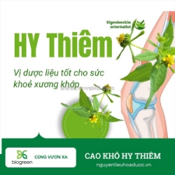 Cung cấp cao khô hy thiêm hàng chất lượng cao giá tốt