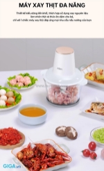 Địa chỉ mua máy xay thịt aqua aqs-ggs201r-(w)-vn chính hãng