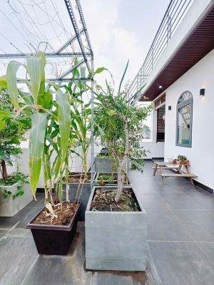 Dinh thự sang trọng bậc nhất – nguyễn thông q3 – 91m² – 6 tầng – full nội thất