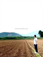 Gia đình tôi đang cần bán lô đất ruộng ngang 50m giá chỉ 220 triệu