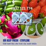 Gói hút ethylene – kéo dài thời gian bảo quản trái cây xuất khẩu
