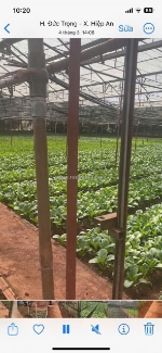 Hạ giá kịch sàn - bán gần 5000m2 hiệp an - giảm 5 tỷ